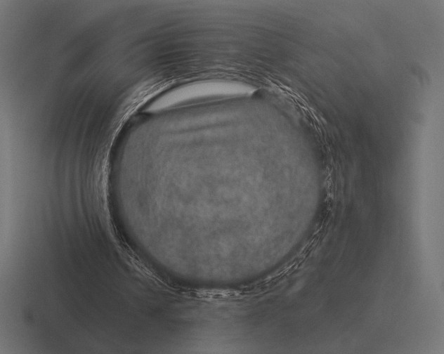 X0000116590242200912291313