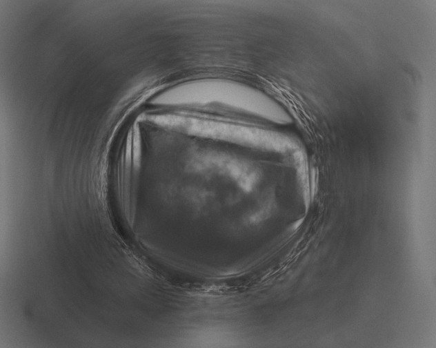 X0000116590243200912291313