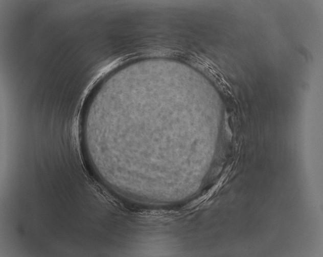 X0000116590244200912291313