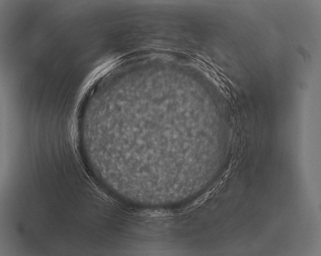 X0000116590245200912291314