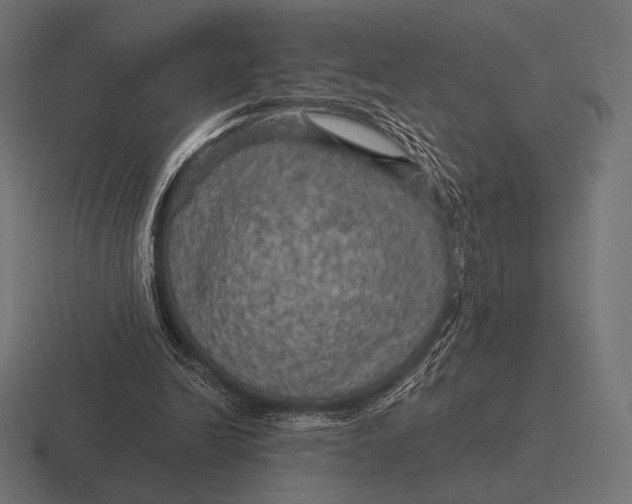 X0000116590246200912291314