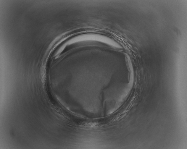 X0000116590247200912291314