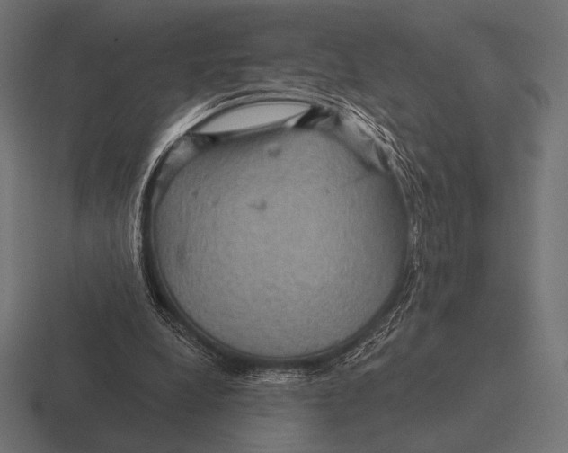 X0000116590248200912291314