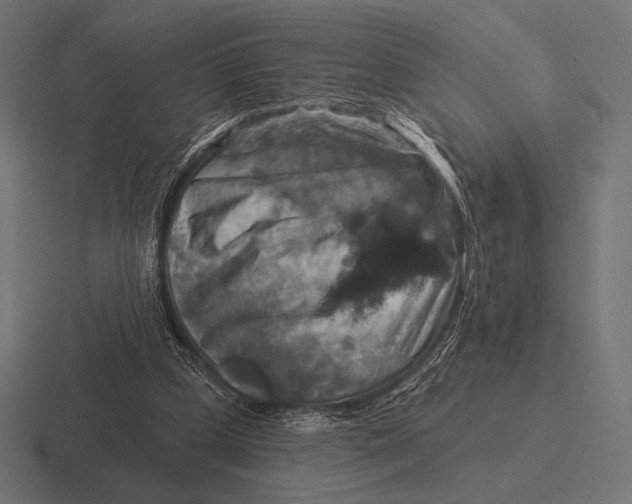 X0000116590249200912291314