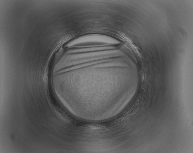 X0000116590250200912291314