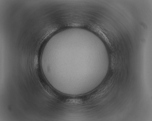 X0000116590251200912291314