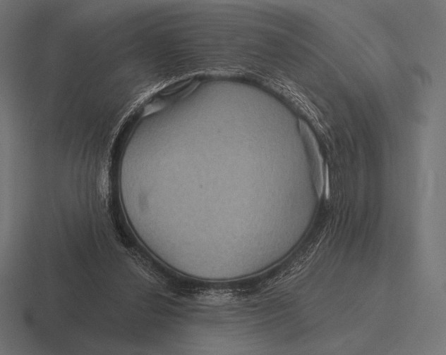 X0000116590252200912291314