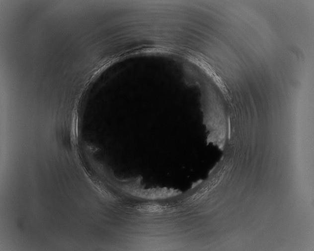 X0000116590253200912291314