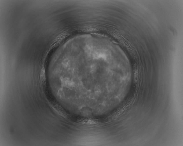 X0000116590254200912291314