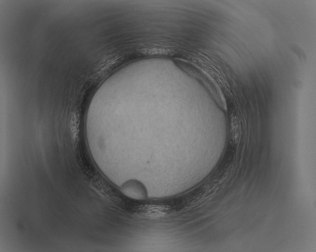 X0000116590255200912291314