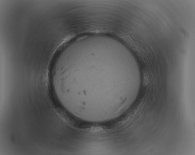 X0000116590256200912291314