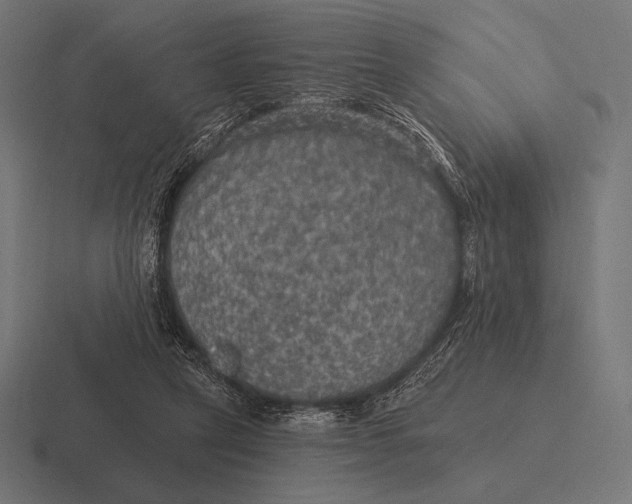 X0000116590257200912291314