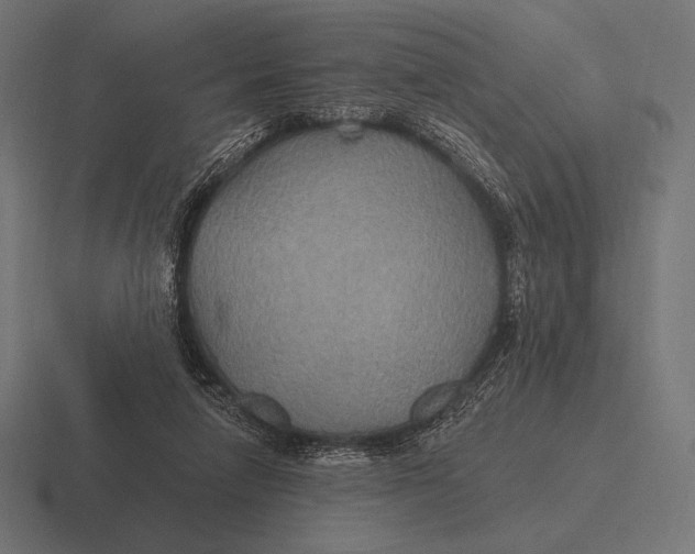 X0000116590258200912291314