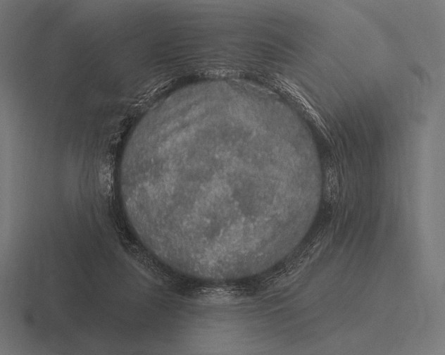 X0000116590259200912291314