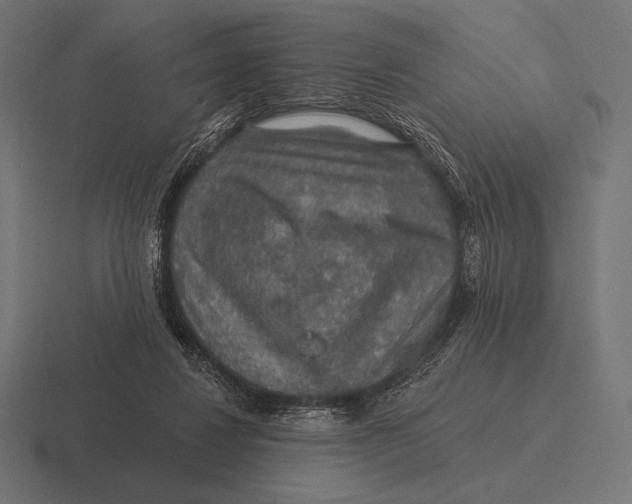 X0000116590260200912291314