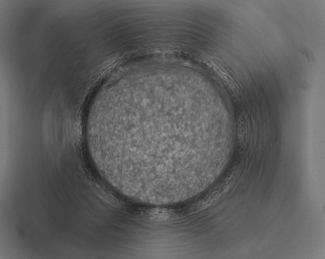 X0000116590261200912291314