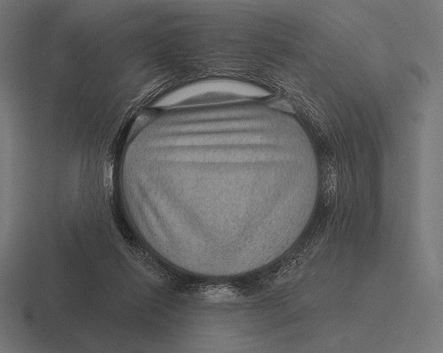 X0000116590262200912291314