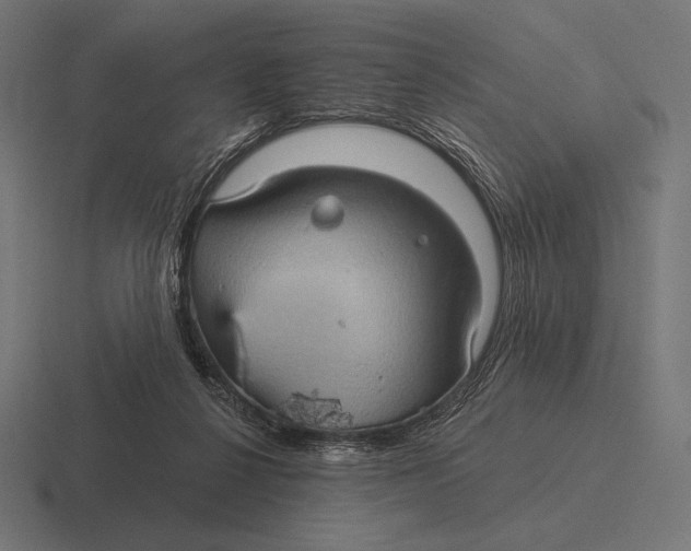 X0000116590264200912291314