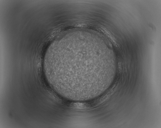 X0000116590265200912291314