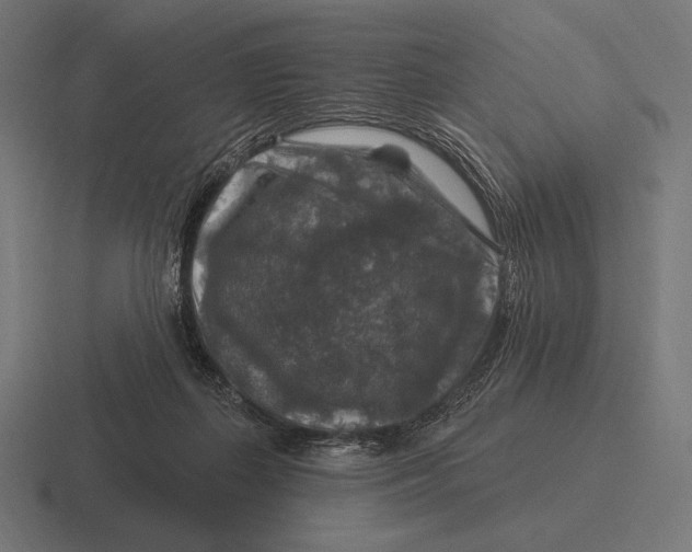 X0000116590267200912291314