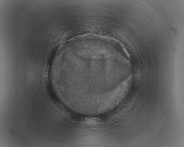 X0000116590268200912291314