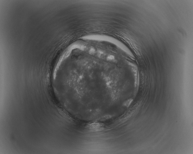 X0000116590269200912291314