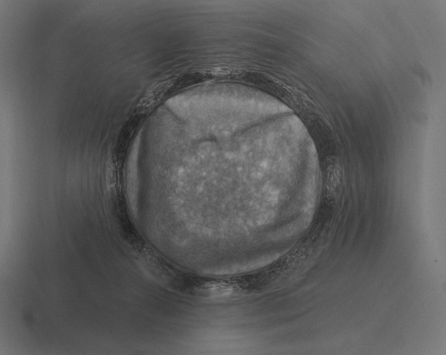 X0000116590272200912291314