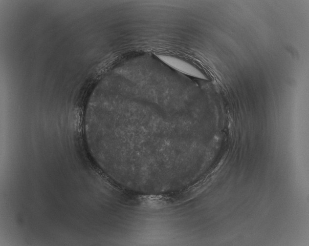 X0000116590273200912291314