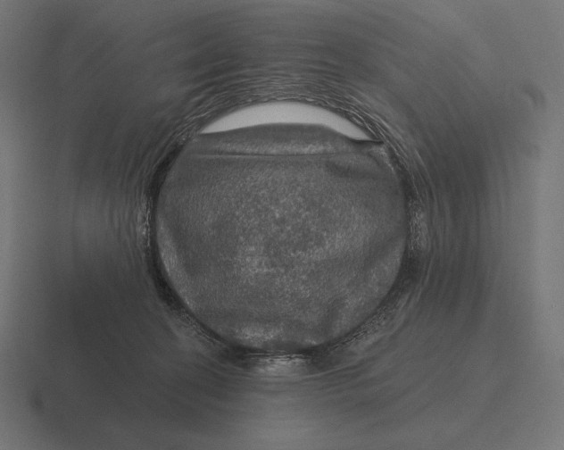 X0000116590274200912291314