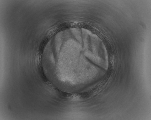 X0000116590276200912291314