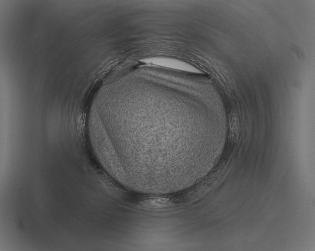 X0000116590278200912291314