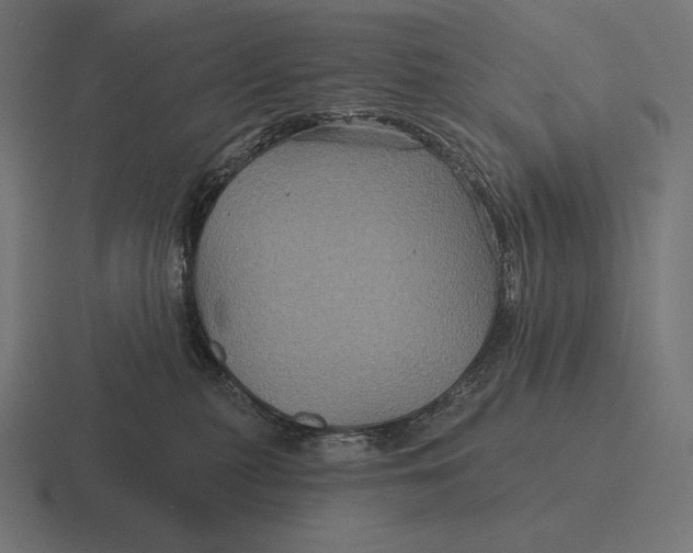 X0000116590279200912291314