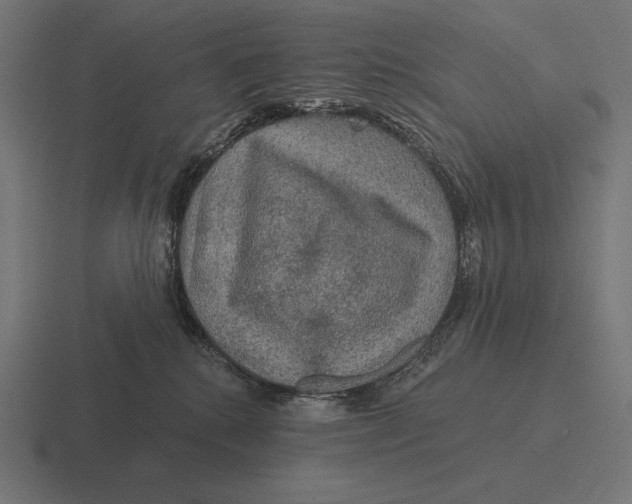 X0000116590280200912291314