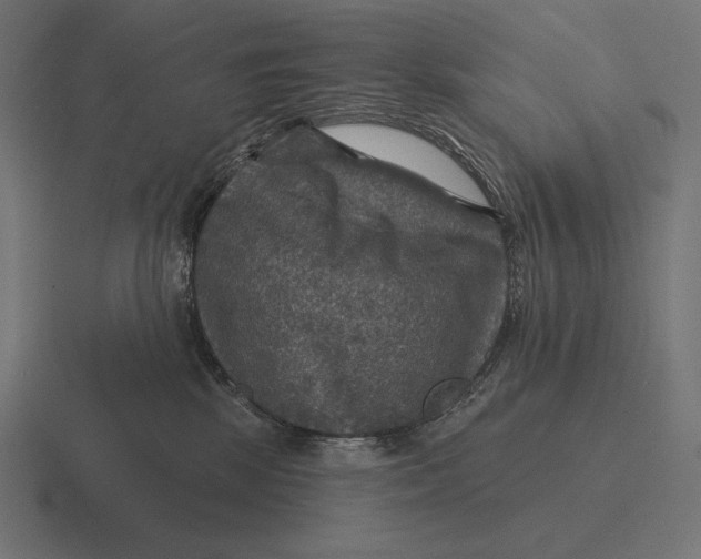 X0000116590281200912291314