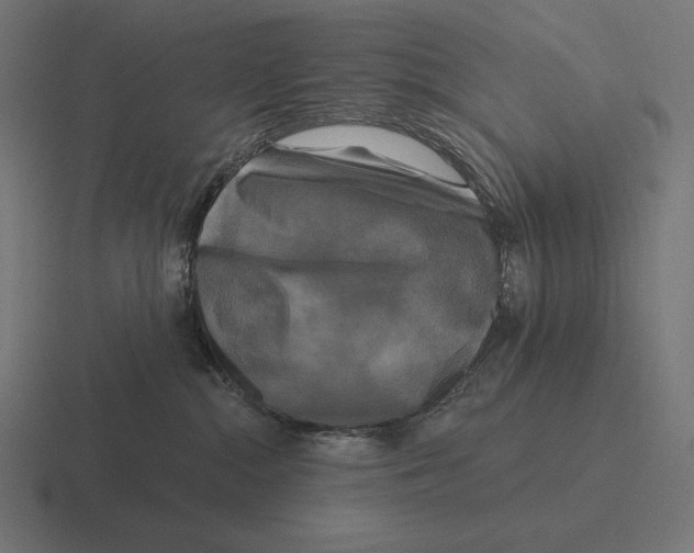 X0000116590284200912291314