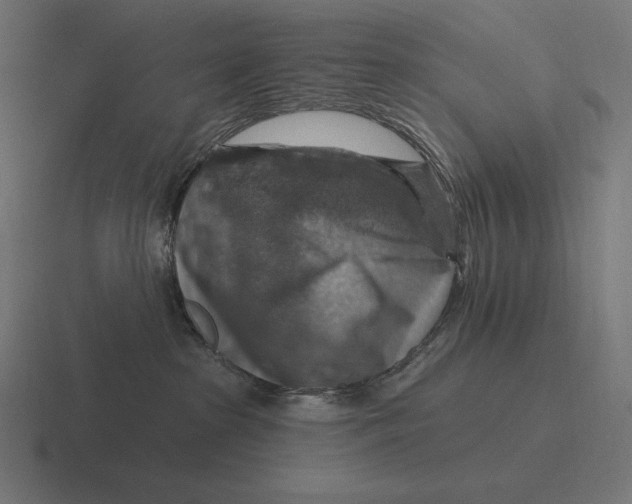 X0000116590285200912291314