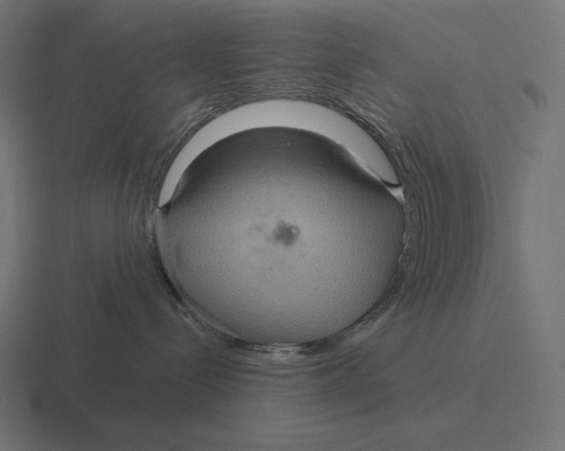 X0000116590288200912291314