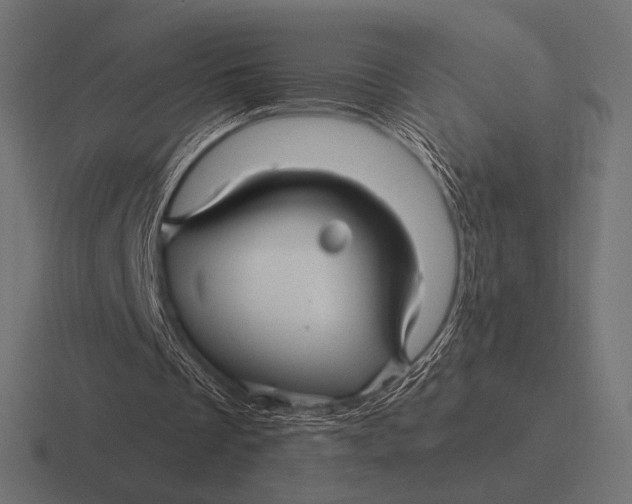 X0000116590289200912291313