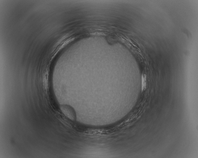 X0000116590291200912291313