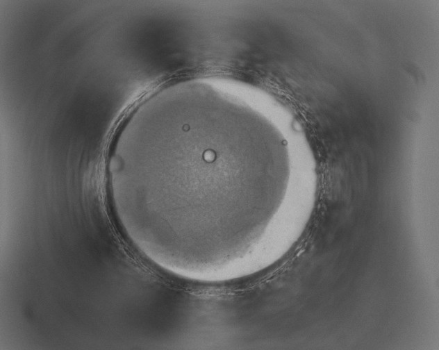 X0000116590293200912291313