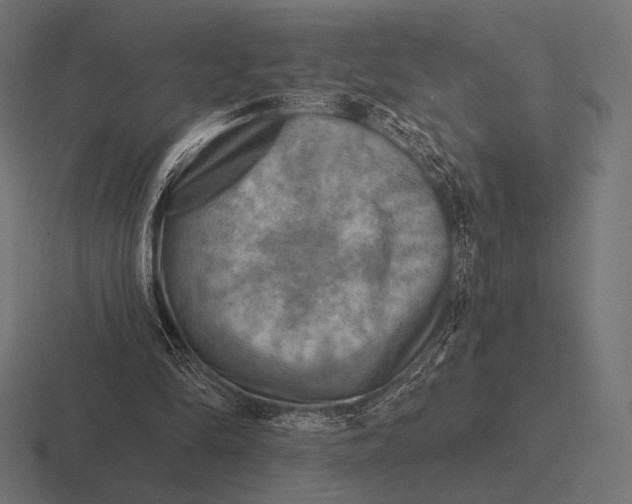 X0000116590294200912291313