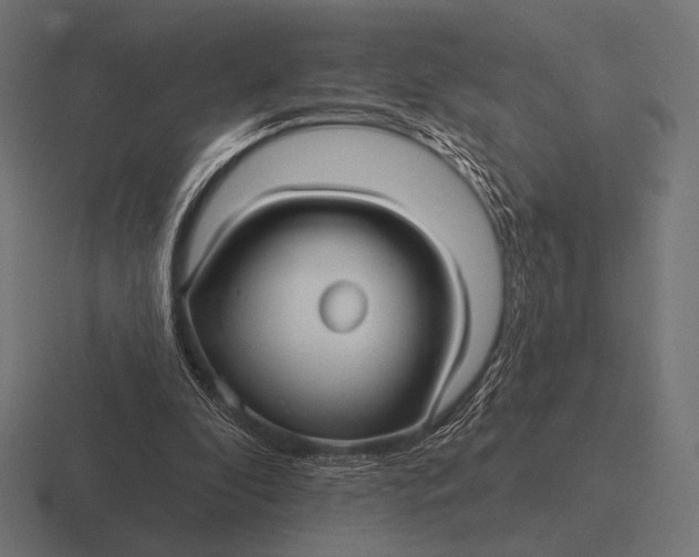 X0000116590296200912291313