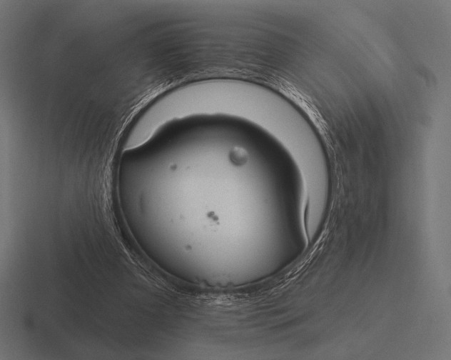 X0000116590297200912291313