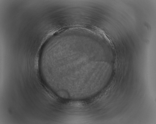 X0000116590299200912291313