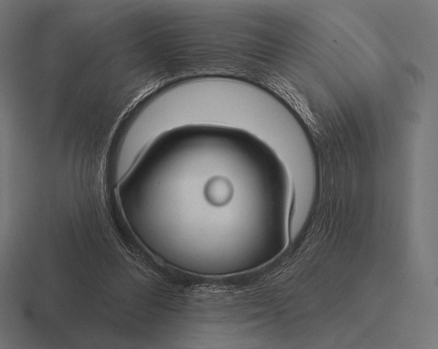 X0000116590300200912291313