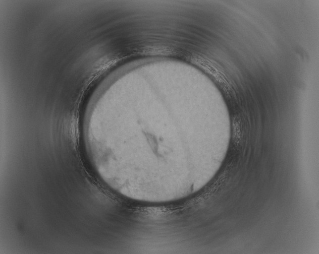 X0000116590302200912291313