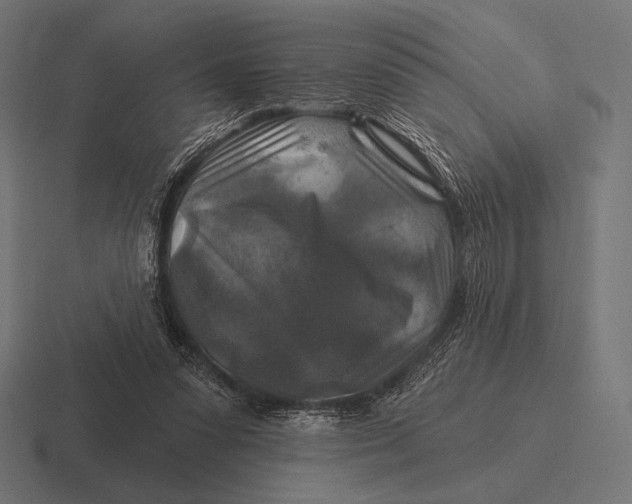 X0000116590303200912291313