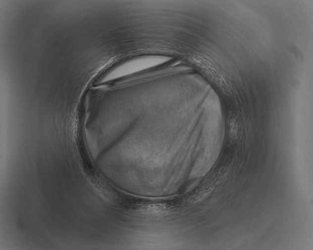 X0000116590304200912291313