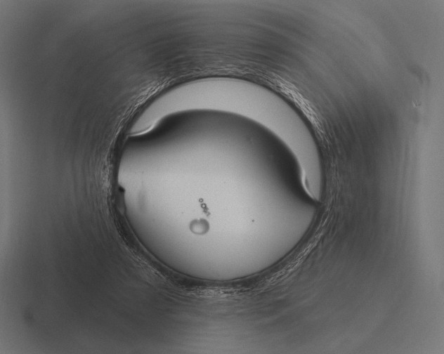 X0000116590305200912291313