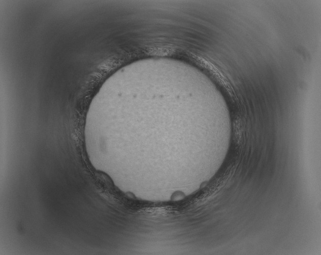 X0000116590307200912291313